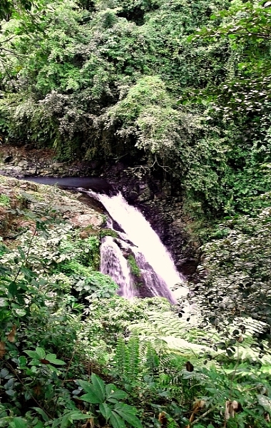 バリ島北部の滝2
