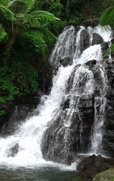 バリ島北部の滝1