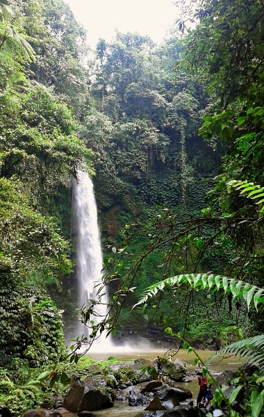バリ島の滝1