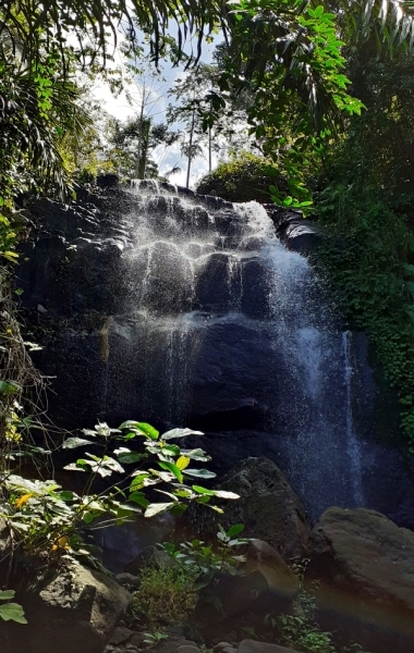 バリ島の滝ツアー5